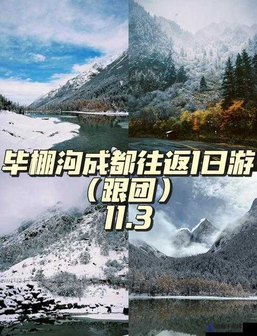 四川 XXXXXLMEDJYF：一段充满挑战与机遇的旅程