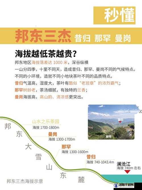 一线产区与二线产区差距原因之绝伦剖析