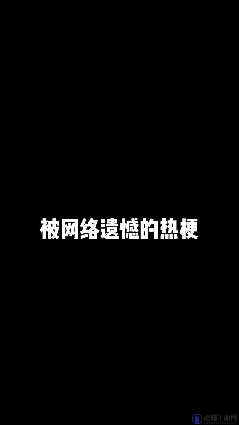 沈阳 58 岁老阿姨叫的没谁了吗：盘点那些年让人印象深刻的网络热梗