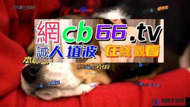 国产线路 3 与国产线路 2 喜迎一波免费福利来袭