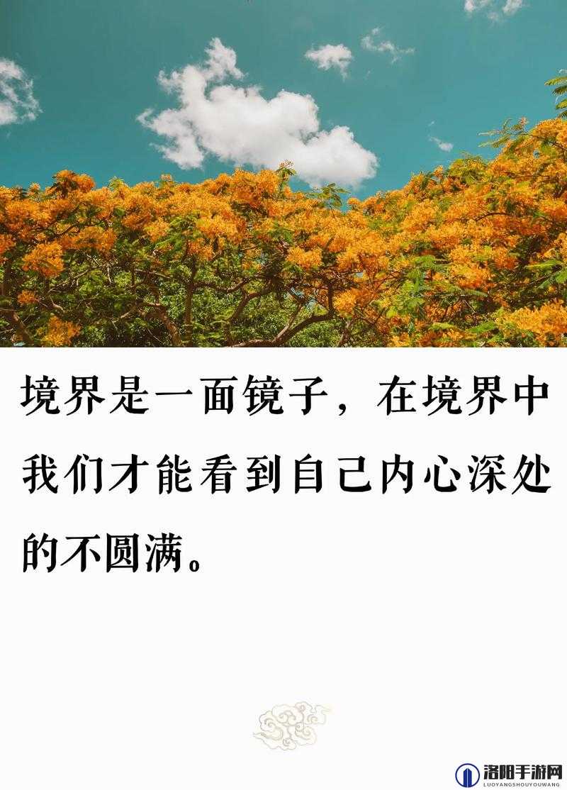 从镜子里结合的地方看世界，感悟生活的真谛