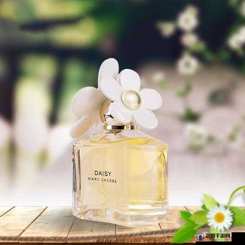 marcjacobs 小雏菊：时尚经典香水的独特魅力与风格展现