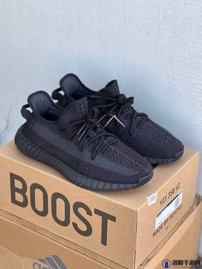 亚洲 yeezy 官网网站：提供最优质的 yeezy 产品及服务