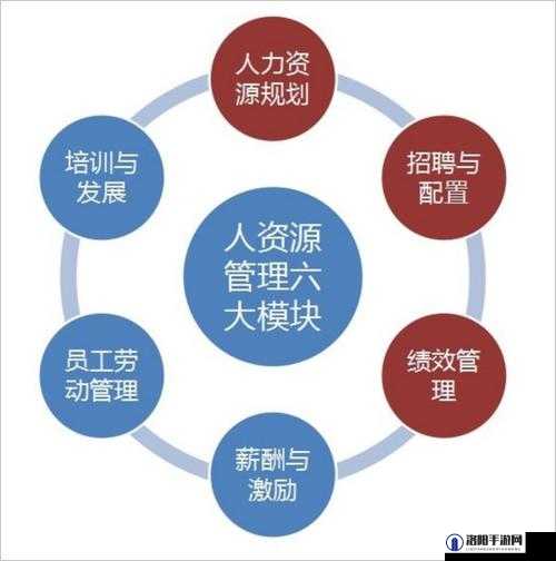 随时随地都能干 HR ：打破时间空间束缚的高效人力管理模式