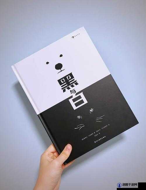 THEWHITEBOX 黑与白：探寻色彩世界的独特魅力