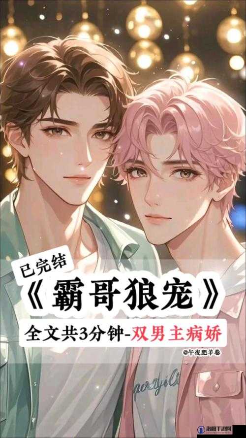 狼兄的宠妻宋钦：霸总老公超凶猛