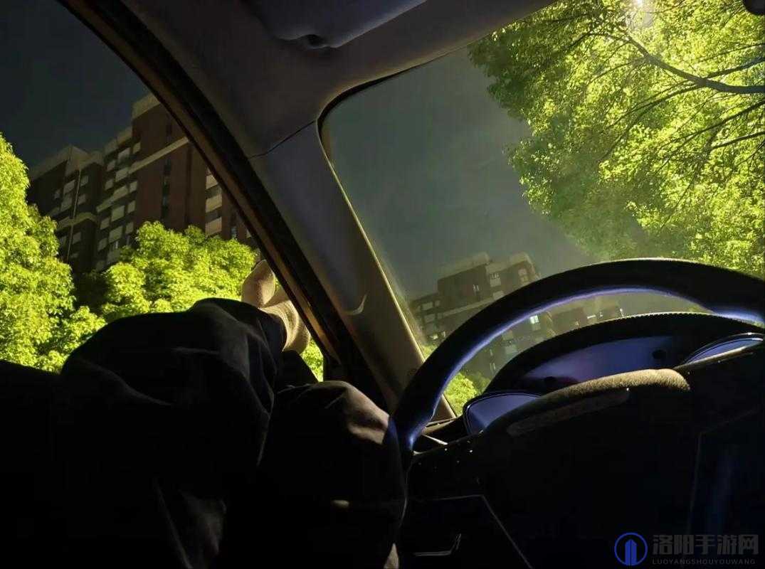 老板等不及了:在车里的激情一刻