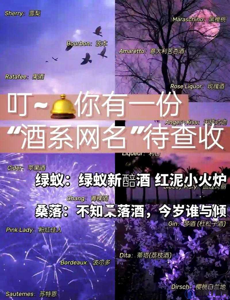 四虎最新网名更新：探索其背后的故事与意义