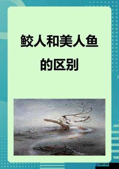妄想山海鲛人美人鱼，获取方式与角色魅力全解析
