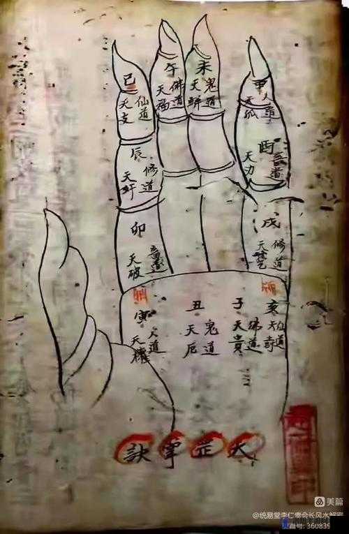 烟雨江湖天罡剑指决怎么学？天罡剑指诀技能属性详解