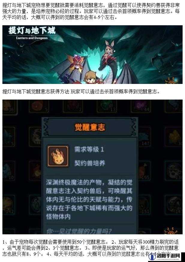 提灯与地下城,揭秘觉醒意志的获取之道
