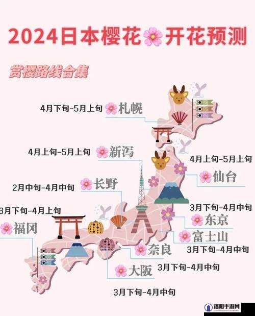 樱花动漫官网入口是哪个?最新访问指南及详细步骤解析