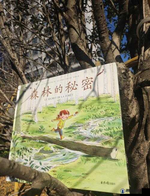 探索仙踪林官网：揭秘神秘森林背后的故事与自然奇观