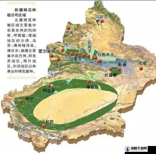 99精产三产区区别详解：全面解析三大区域特点与优势，助你快速了解差异