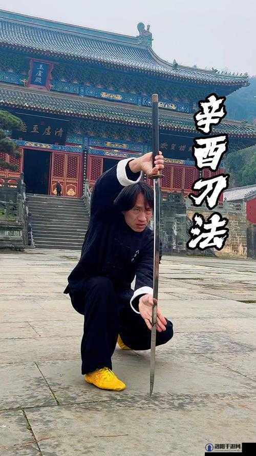 弈剑行苗刀怎么玩，苗刀玩法攻略