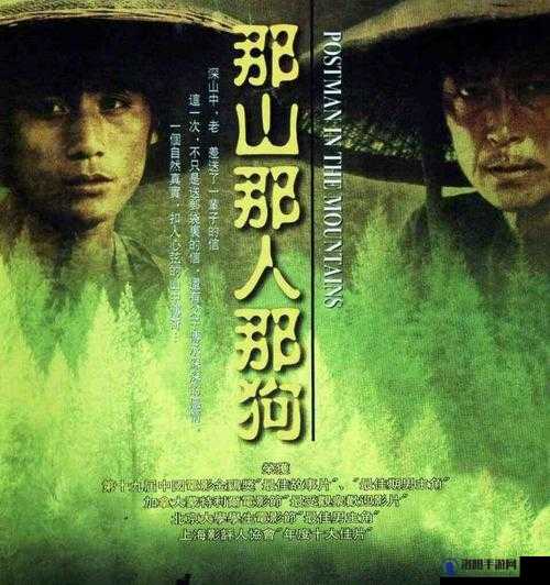 1314亚洲电影：深度解析其文化影响与观众共鸣，探寻亚洲电影的独特魅力与未来发展