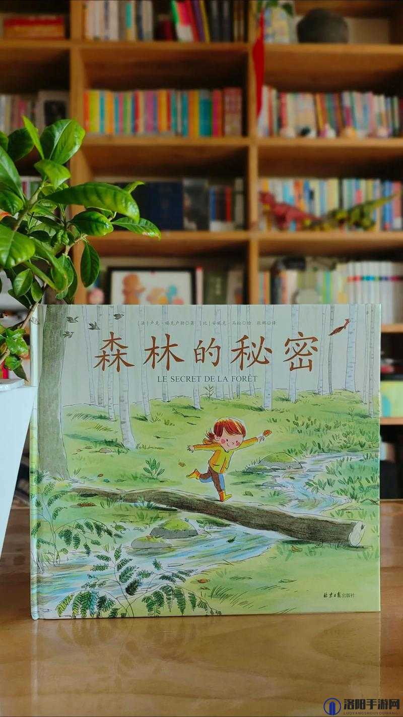 把头埋在茂密的丛林中:探索自然深处的秘密与宁静之旅