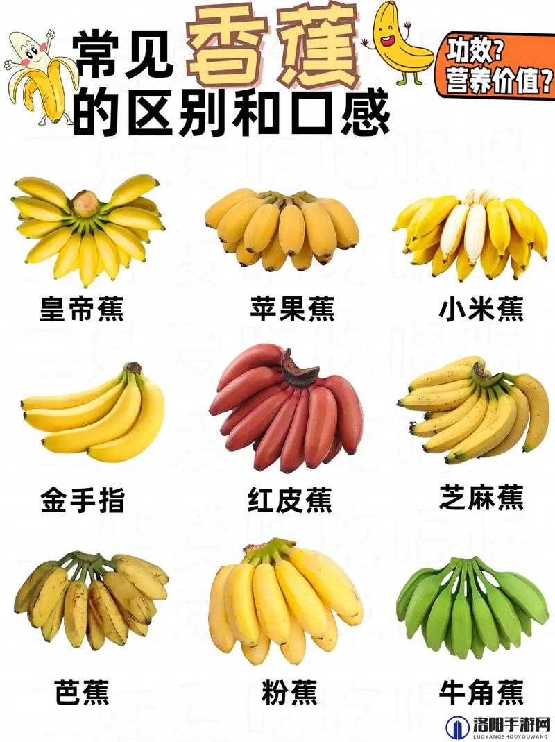 探索琪琪色大香蕉的独特魅力：从颜色到口感的全面解析
