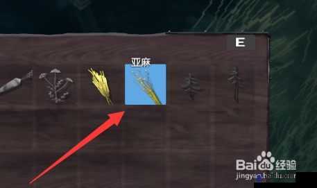 英灵神殿探险，揭秘亚麻的获取之道