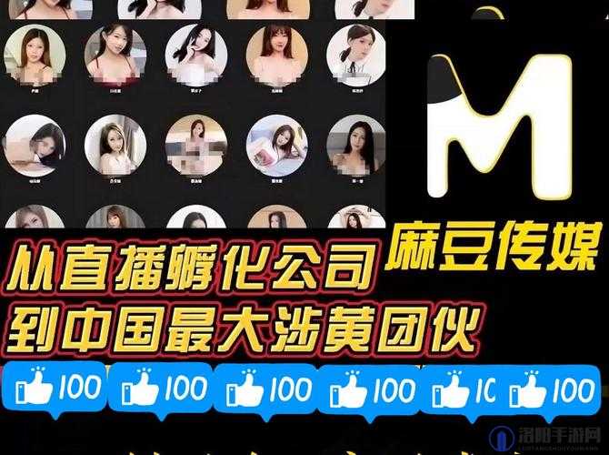 探索91制作天麻传媒免费入口：全面指南与使用技巧分享