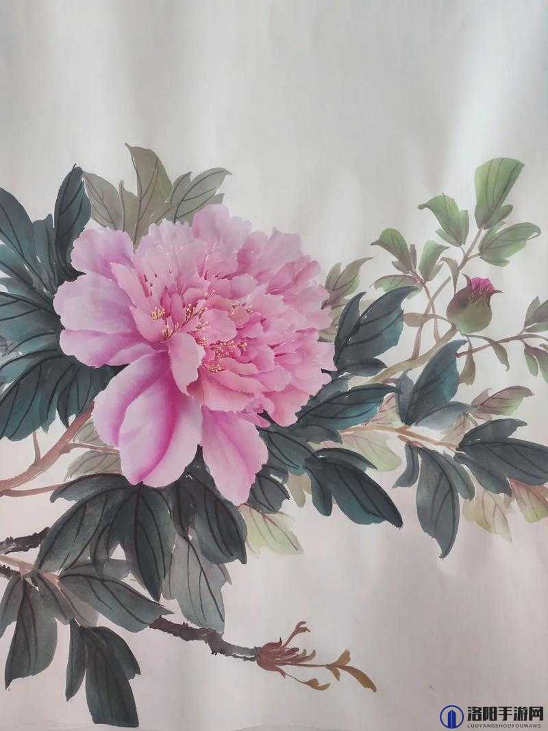 国色天香图册春意盎然：传统艺术与现代审美的完美融合，感受古典花卉的独特魅力