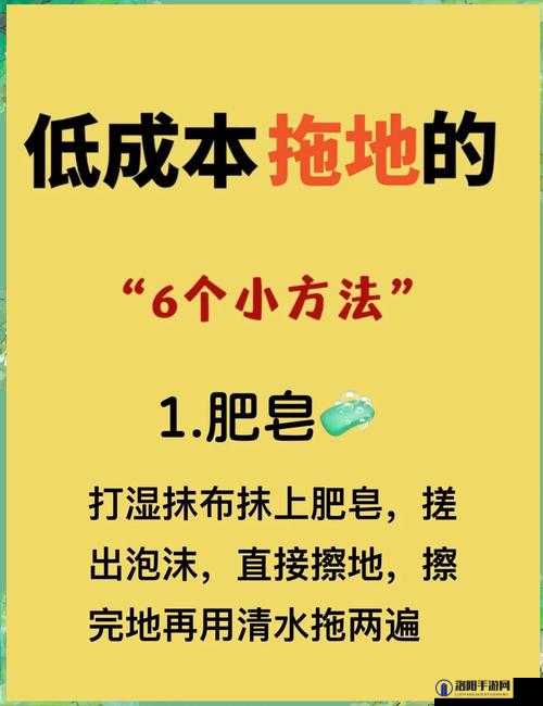 小扫货水怎么多？揭秘高效清洁技巧，让你的家居焕然一新