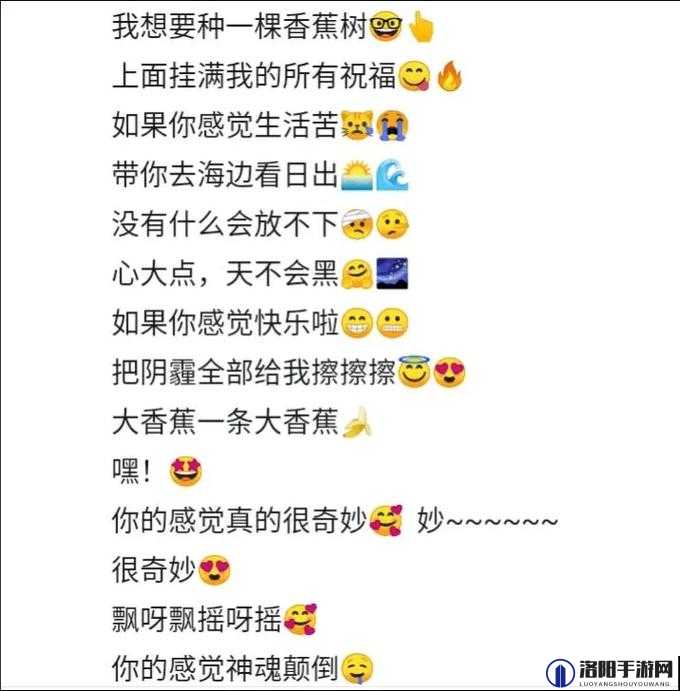老司机带带我香蕉送给你这首歌的完整歌词解析及背后的故事分享