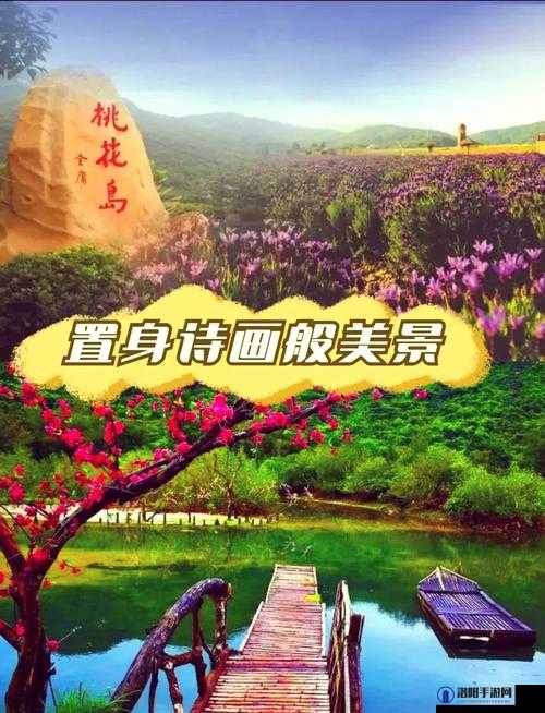 探索桃花岛cm7的神秘魅力：揭秘其独特风光与历史文化背后的故事