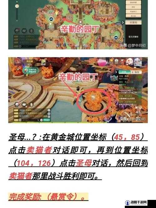 梦想新大陆迅猛龙技能搭配全攻略