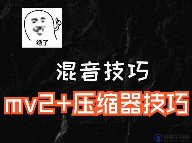 亚洲MV与欧洲MV如何换算？全面解析两者之间的转换方法与实用技巧