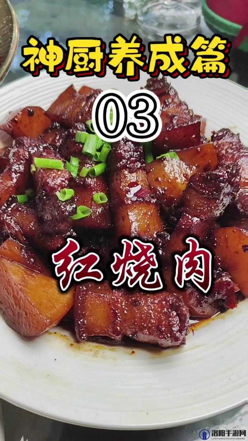 独占1V1冰糖炖五花肉独家秘制配方，家常美味轻松上手，教你炖出软糯香甜的五花肉