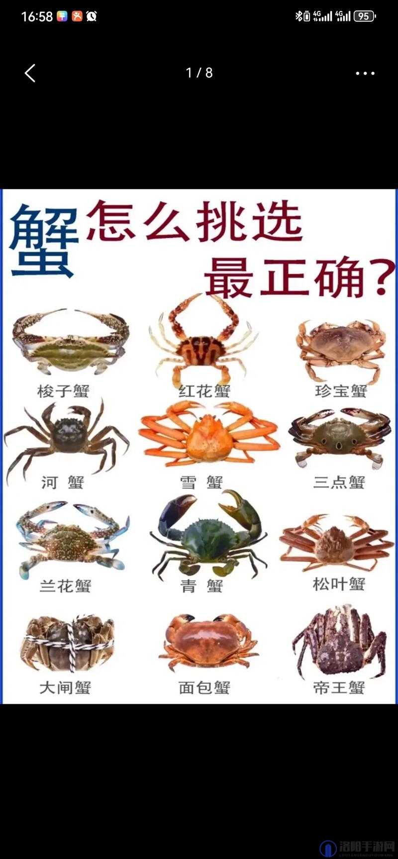 江南百景图螃蟹什么用，螃蟹作用详细介绍