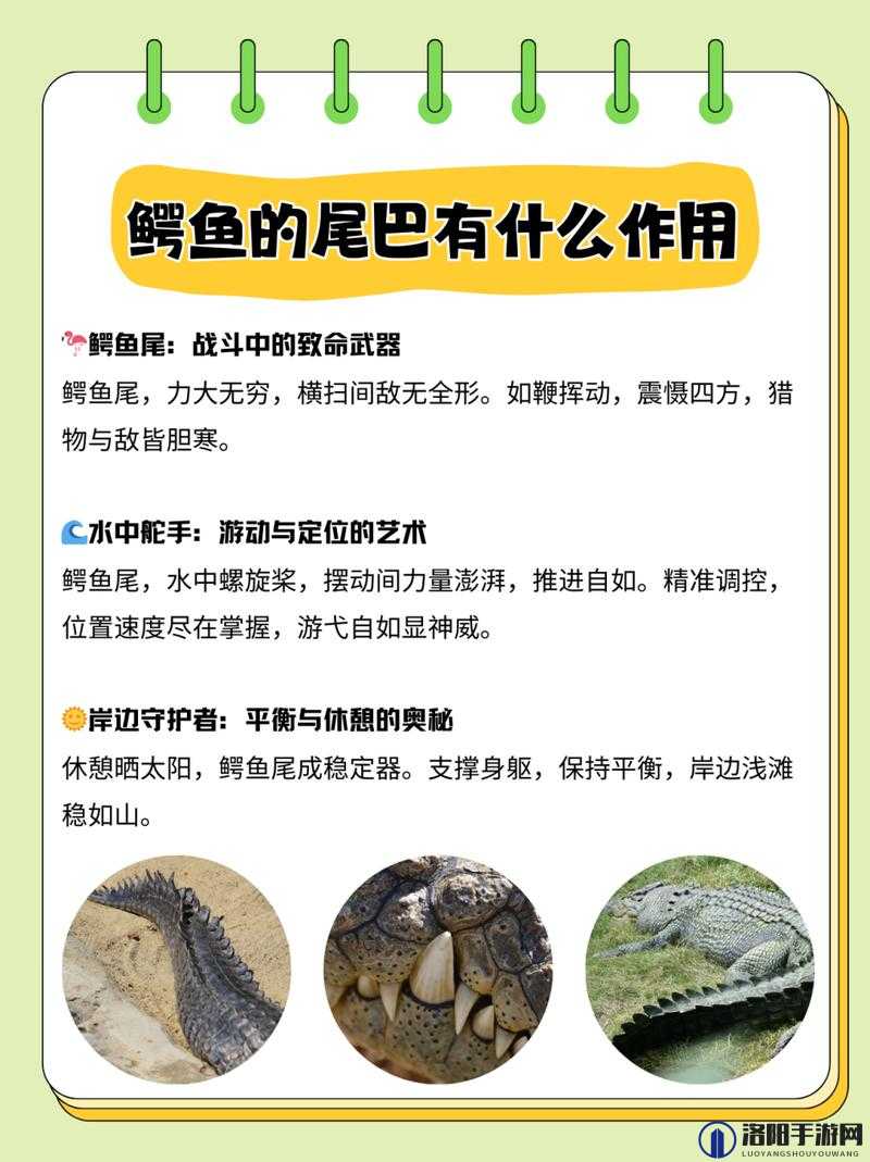 狩猎时刻鳄鱼怎么打，鳄鱼打法攻略