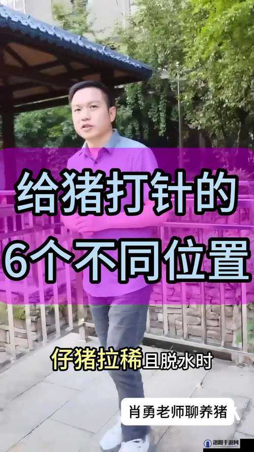 狩猎时刻蝳猪怎么打，蝳猪打法攻略