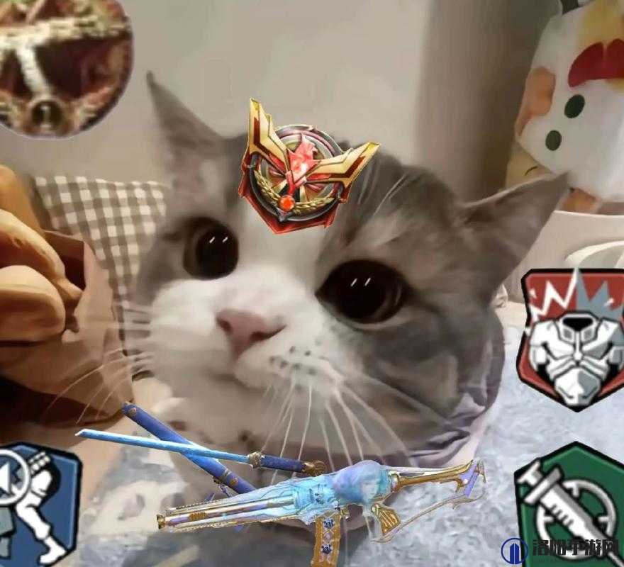 使命召唤手游躲猫猫怎么卡？躲猫猫技巧分享