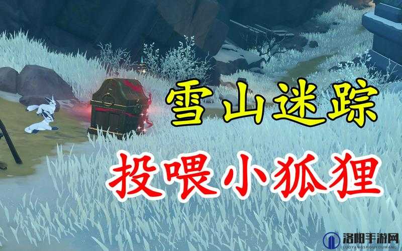 原神雪山迷踪狐狸怎么喂食 雪山迷踪投喂狐狸攻略