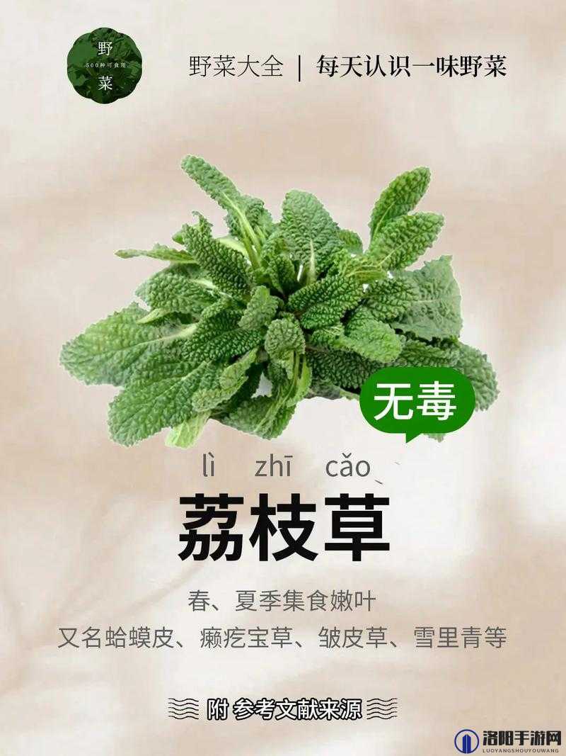 绿巨人樱桃荔枝青青草，这些植物的功效你知道吗？