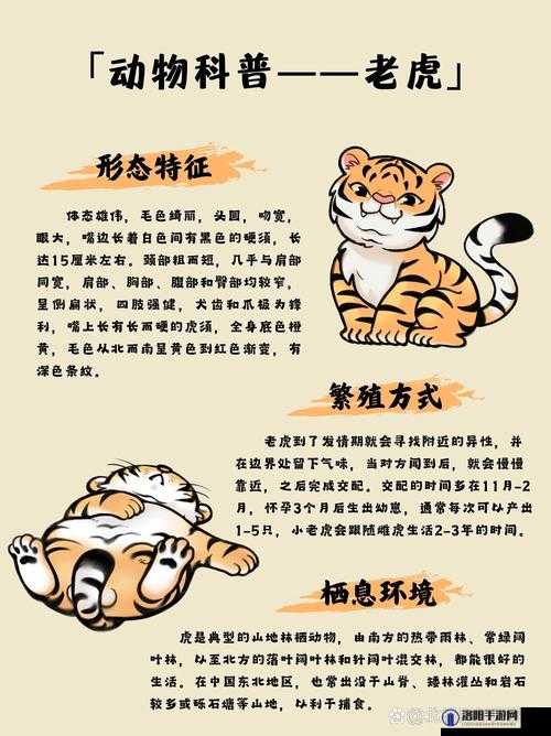 烟雨江湖老虎怎么打，老虎任务打法攻略全解析