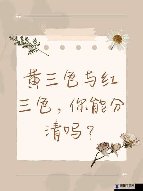 黄三色和红三色究竟有何区别？一文带你了解两者的差异与特点