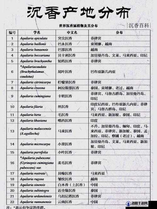 沉香产区到底有没有一线二线之分？深度解析沉香产区的划分之谜