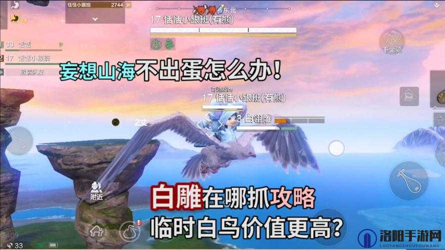 妄想山海白马进化与实战攻略,何时能赢白雕?