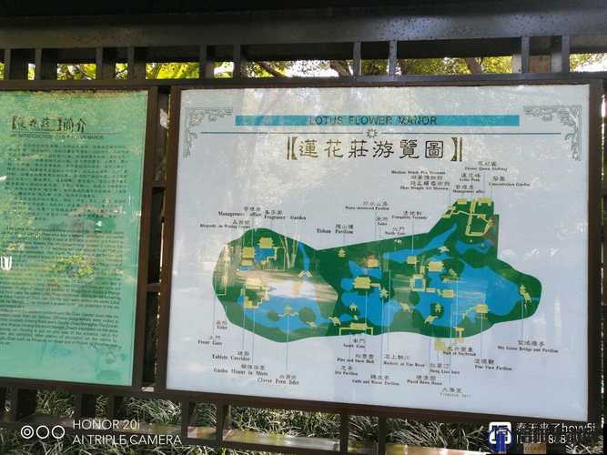 烟雨江湖荷花村探秘，绝美风光与位置攻略