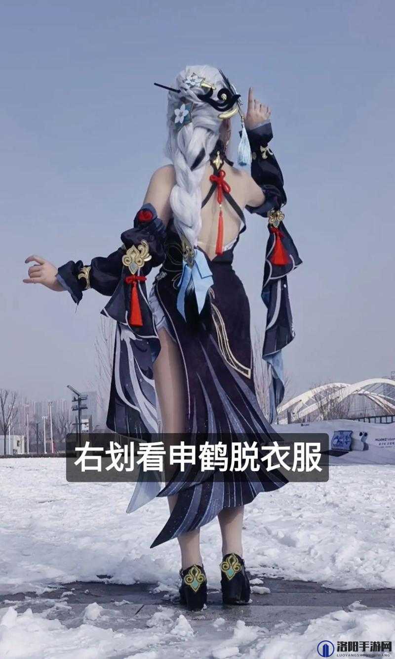 申鹤挤羊奶后衣服的独特设计与实用功能解析，揭秘传统工艺与现代时尚的完美结合