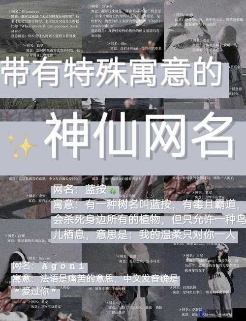 YW52777 最新网名是什么？大家快来一起猜猜看，神秘网名大揭秘