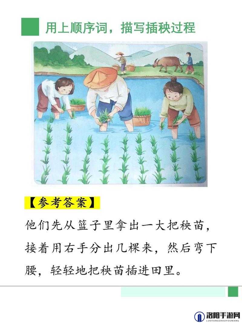 情侣的一百种插秧法究竟有哪些?快来一探究竟,了解独特有趣的插秧方式