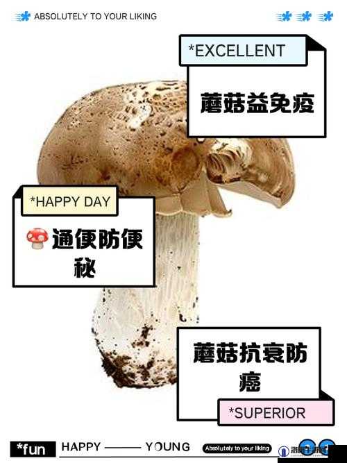 蘑菇 Moguspace 最新版本更新，这些新功能你知道吗？