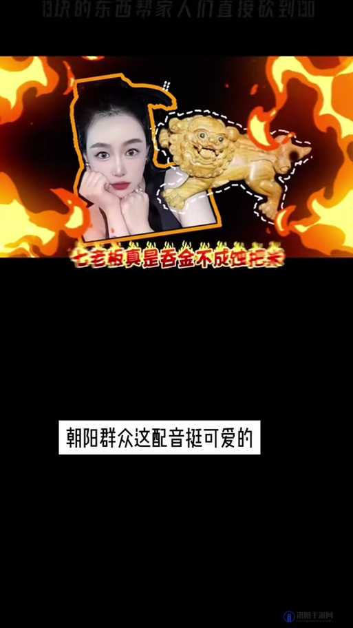 热心的朝阳群众 51cgfun 究竟有着怎样的故事？为何引发全网关注？