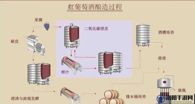 老扒干红法溶陈红的最简单步骤，轻松掌握传统酿酒技巧与口感提升秘诀