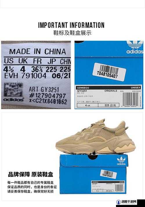 三叶草gy3251深度解析：如何选择最适合你的款式与功能？