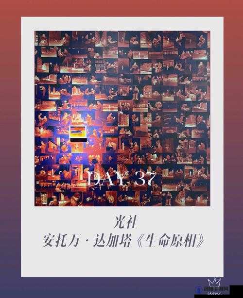 大但人文艺术：探索未知的边界